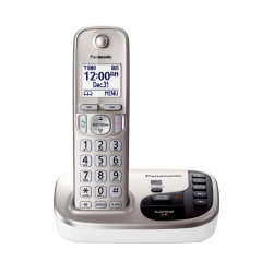 تلفن بی سیم پاناسونیک Panasonic KX-TGD222