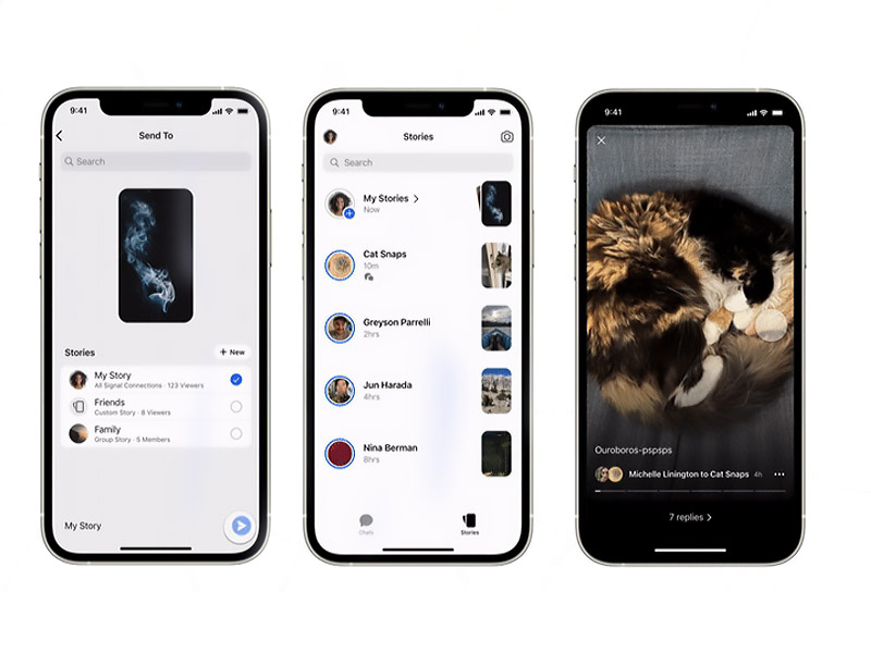 پیام رسان سیگنال هم بالاخره «استوری» را به امکانات خود اضافه کرد